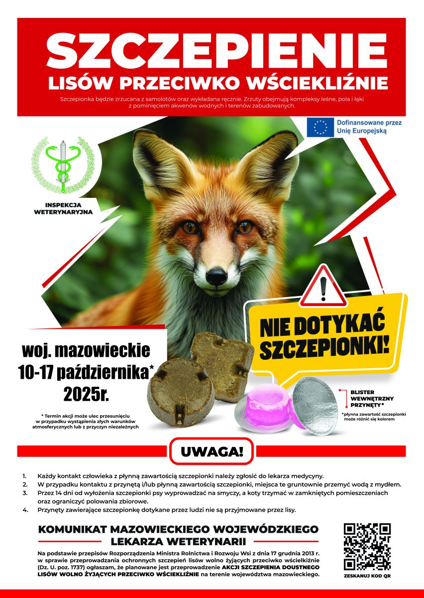 Akcja szczepien lisów