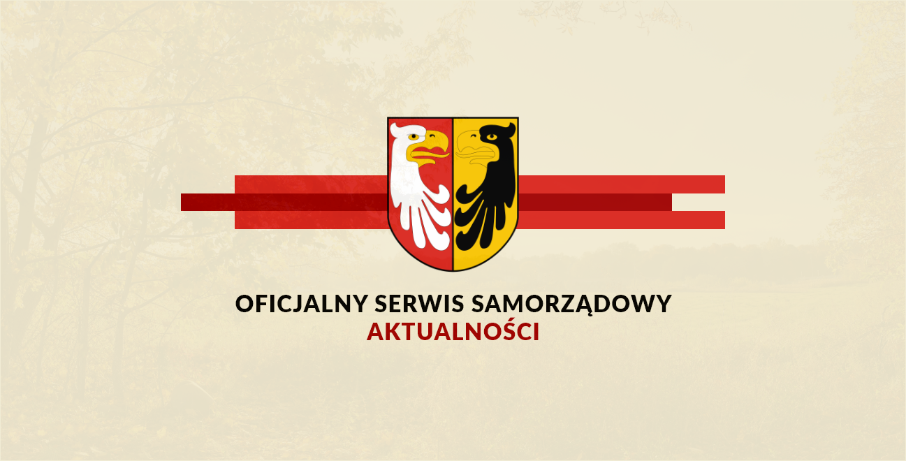 logo serwisu