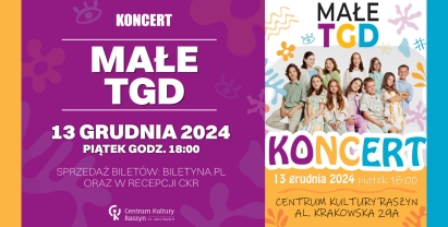 Koncert zespołu Małe TGD