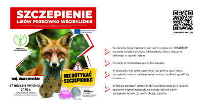 Szczepienie lisów przeciwko wściekliźnie