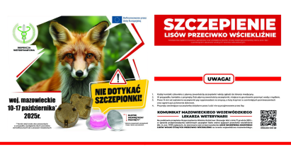 Jesienna akcja szczepień lisów przeciwko wściekliźnie