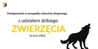 Postępowanie w przypadku zdarzenia drogowego z udziałem dzikiego zwierzęcia (w tym wilka)