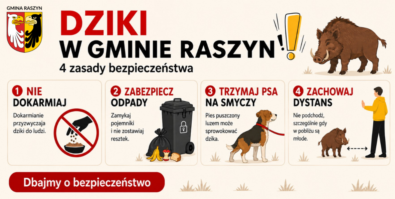 Dziki w Gminie Raszyn – pamiętajmy o bezpieczeństwie