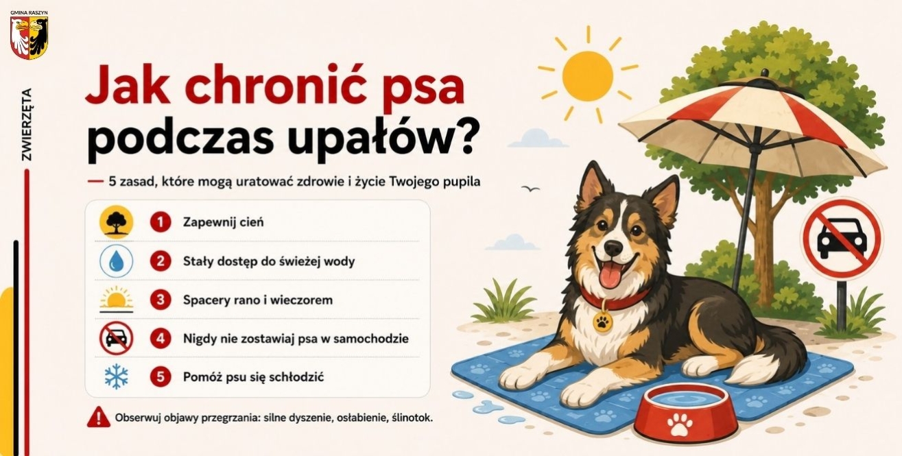 Jak chronić psa podczas upałów? 