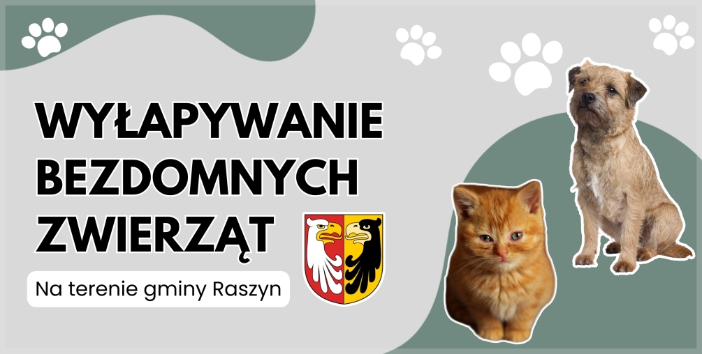 Wyłapywanie bezdomnych zwierząt na terenie Gminy Raszyn