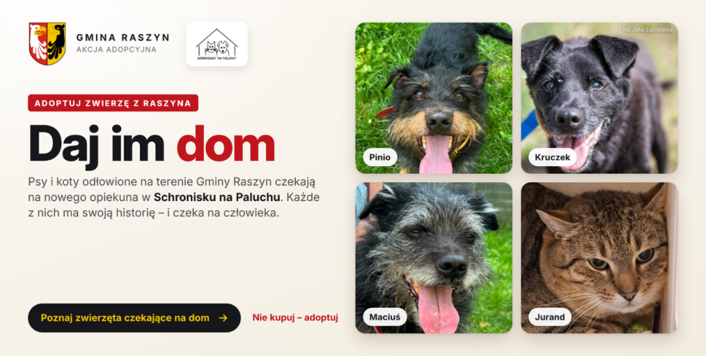 DAJ IM DOM – ADOPTUJ ZWIERZĘ Z RASZYNA 